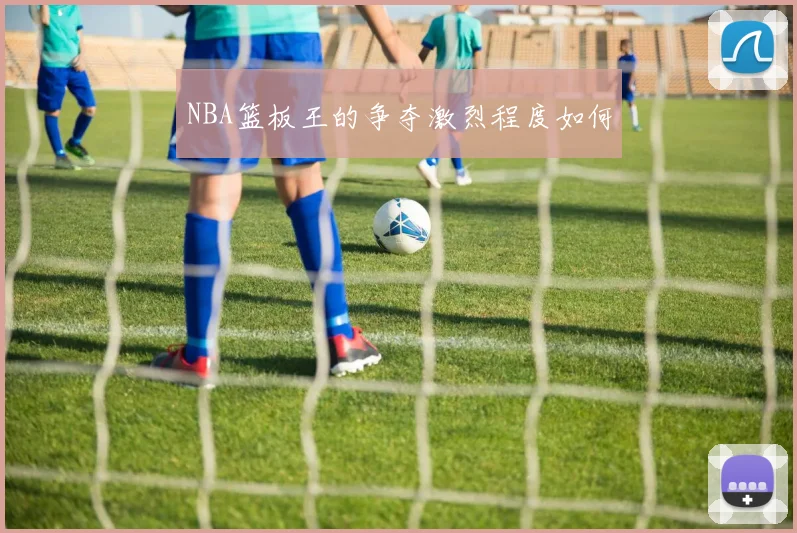 NBA篮板王的争夺激烈程度如何