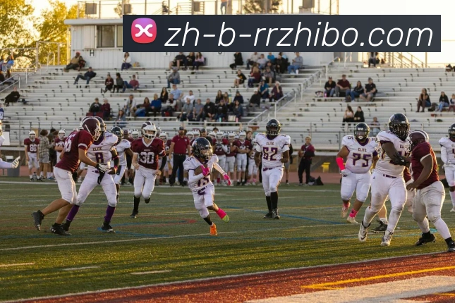 新英体育平台欧冠赛事直播内容及播出安排